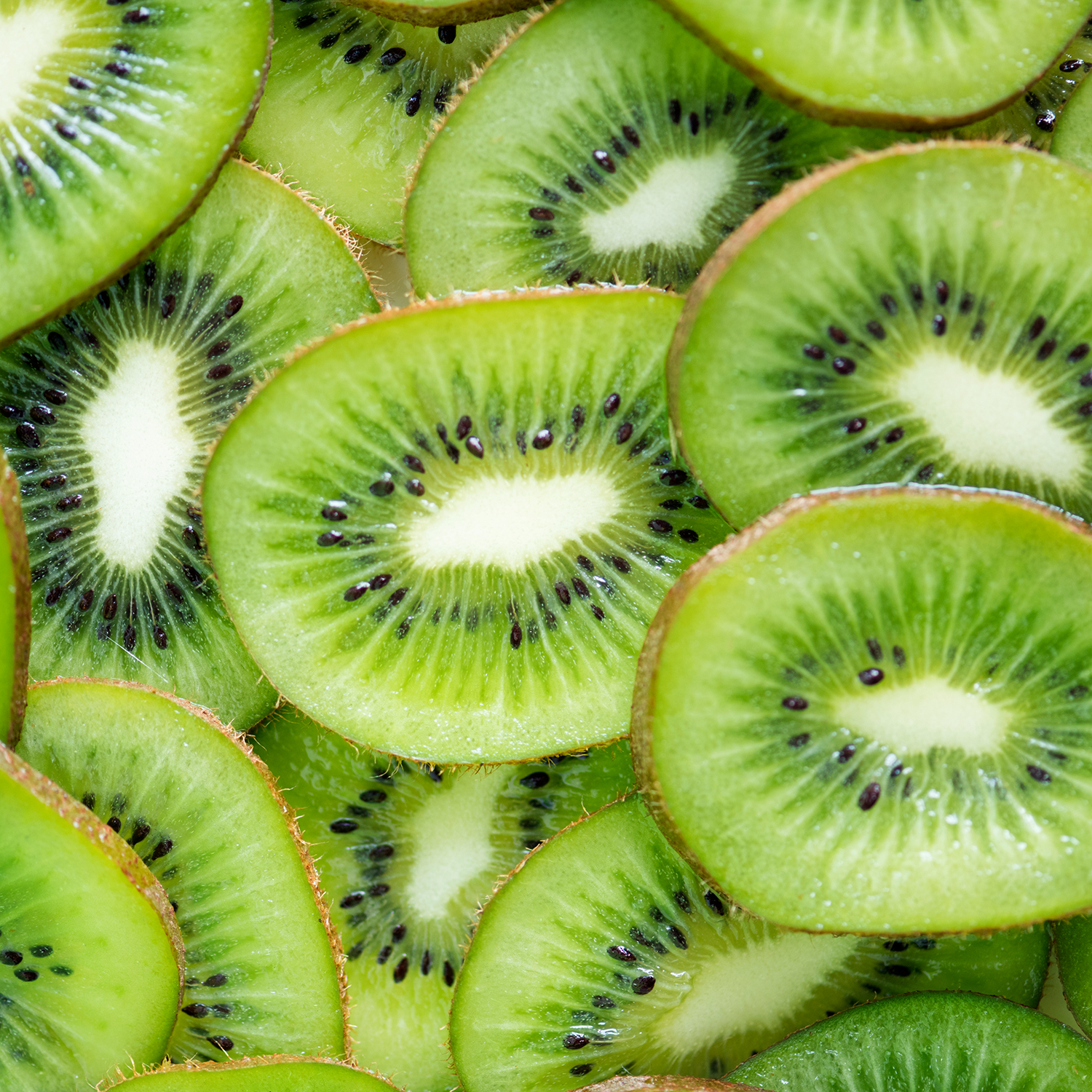Kiwi